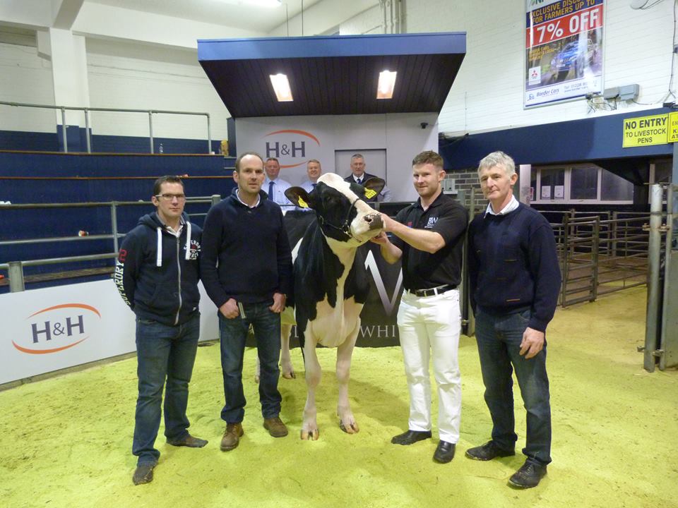 Twizzle Black and White