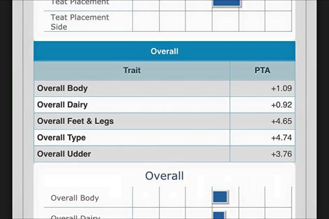 944053_943205902430428_6319713207886801344_n