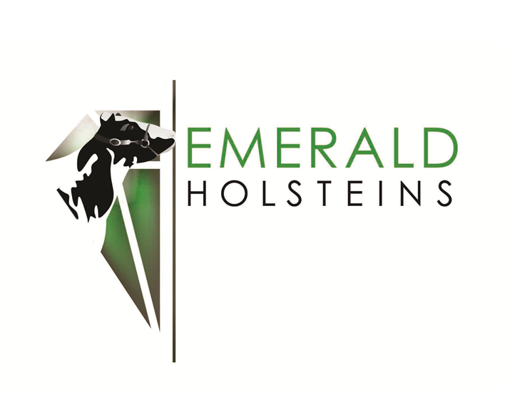 Emerald Holsteins