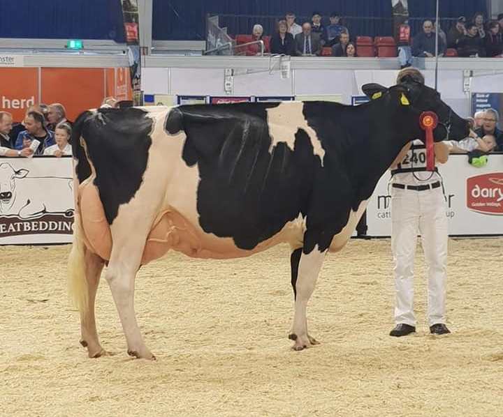 44593774_1920921521325523_381371371940216832_n